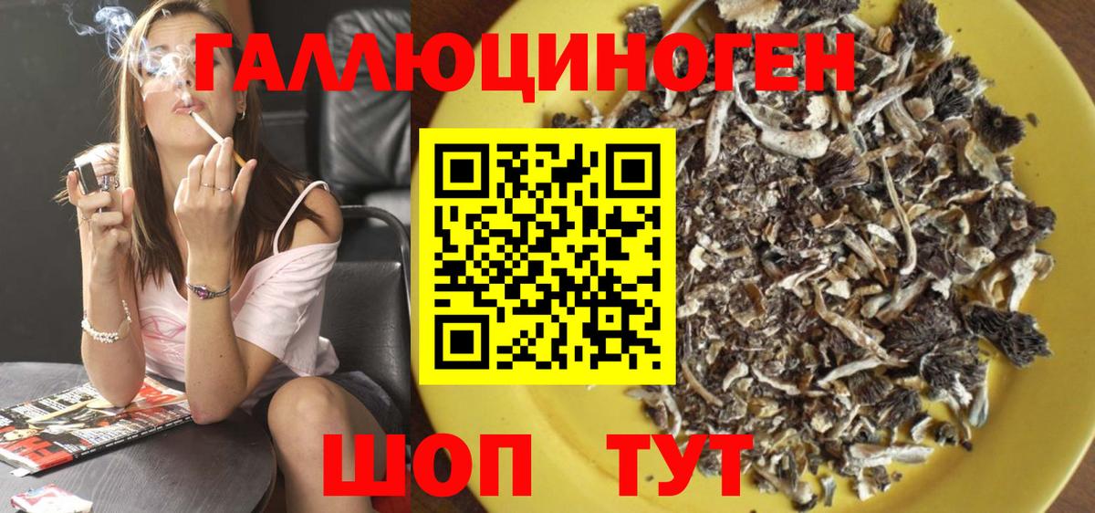 Галлюциногенные грибы Cubensis Пенза