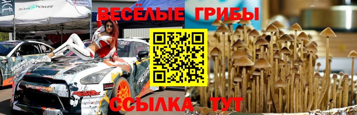 Галлюциногенные грибы MAGIC MUSHROOMS  Вход с VPN  Псилоцибиновые грибы Magic Shrooms  Пенза 